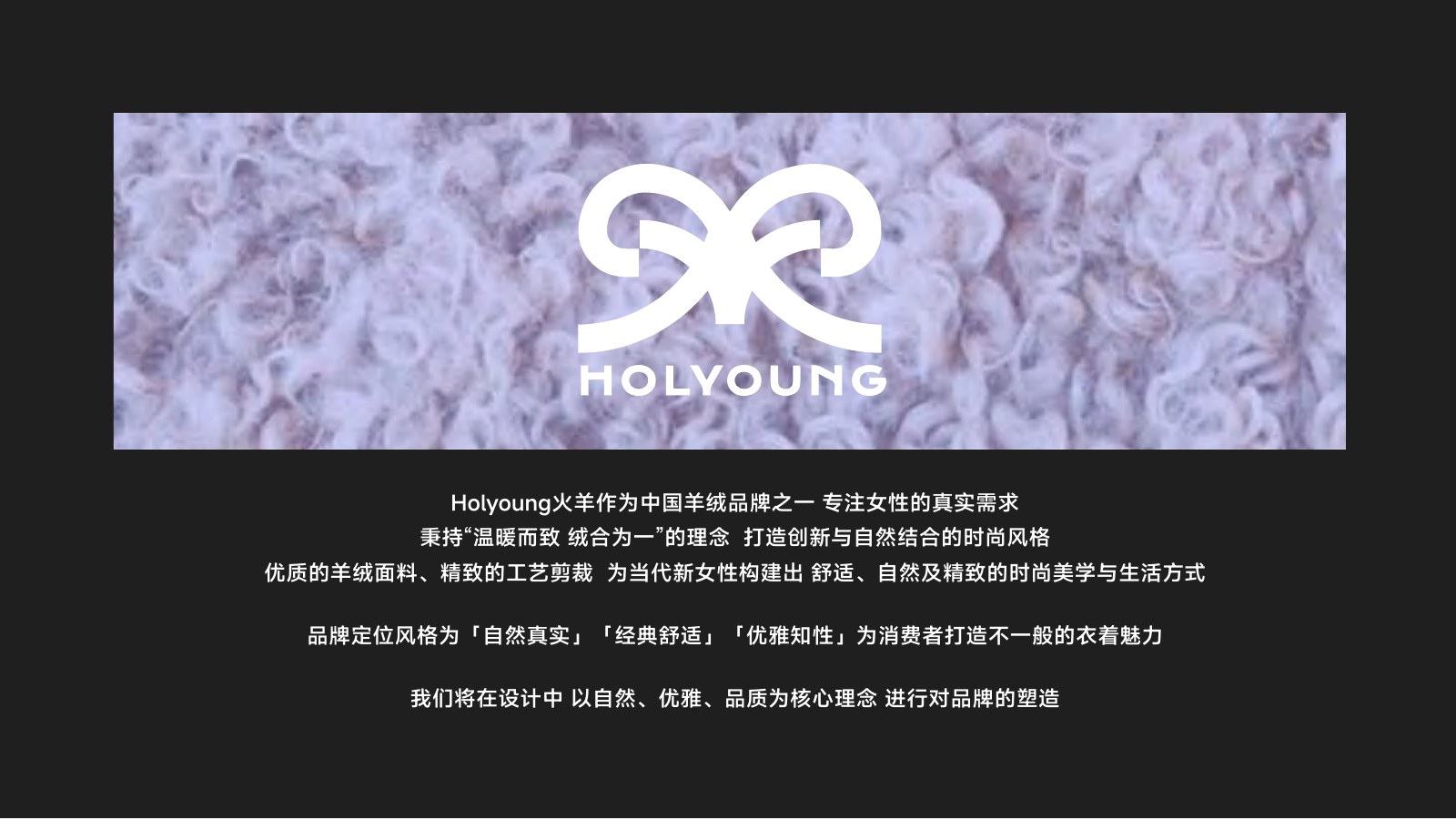 HOLYYOUNG 项目品牌定义完整页面