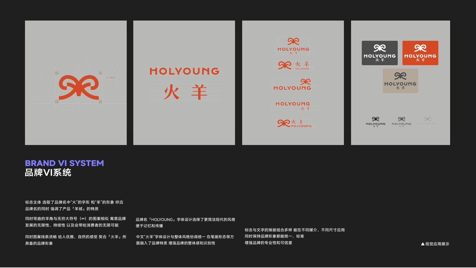 HOLYYOUNG 项目品牌 VI 完整页面