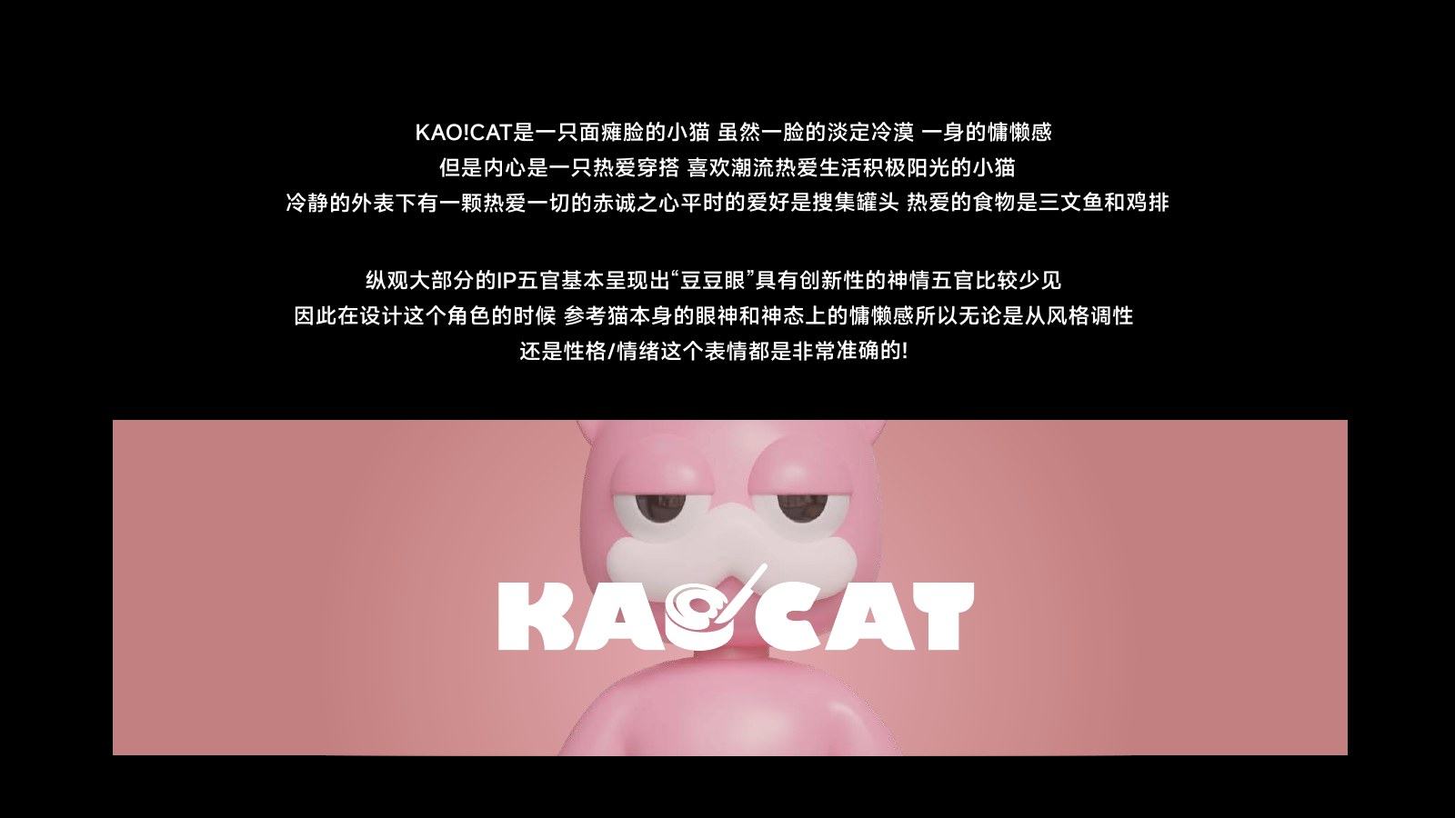 KAOCAT 项目 IP 定义完整页面