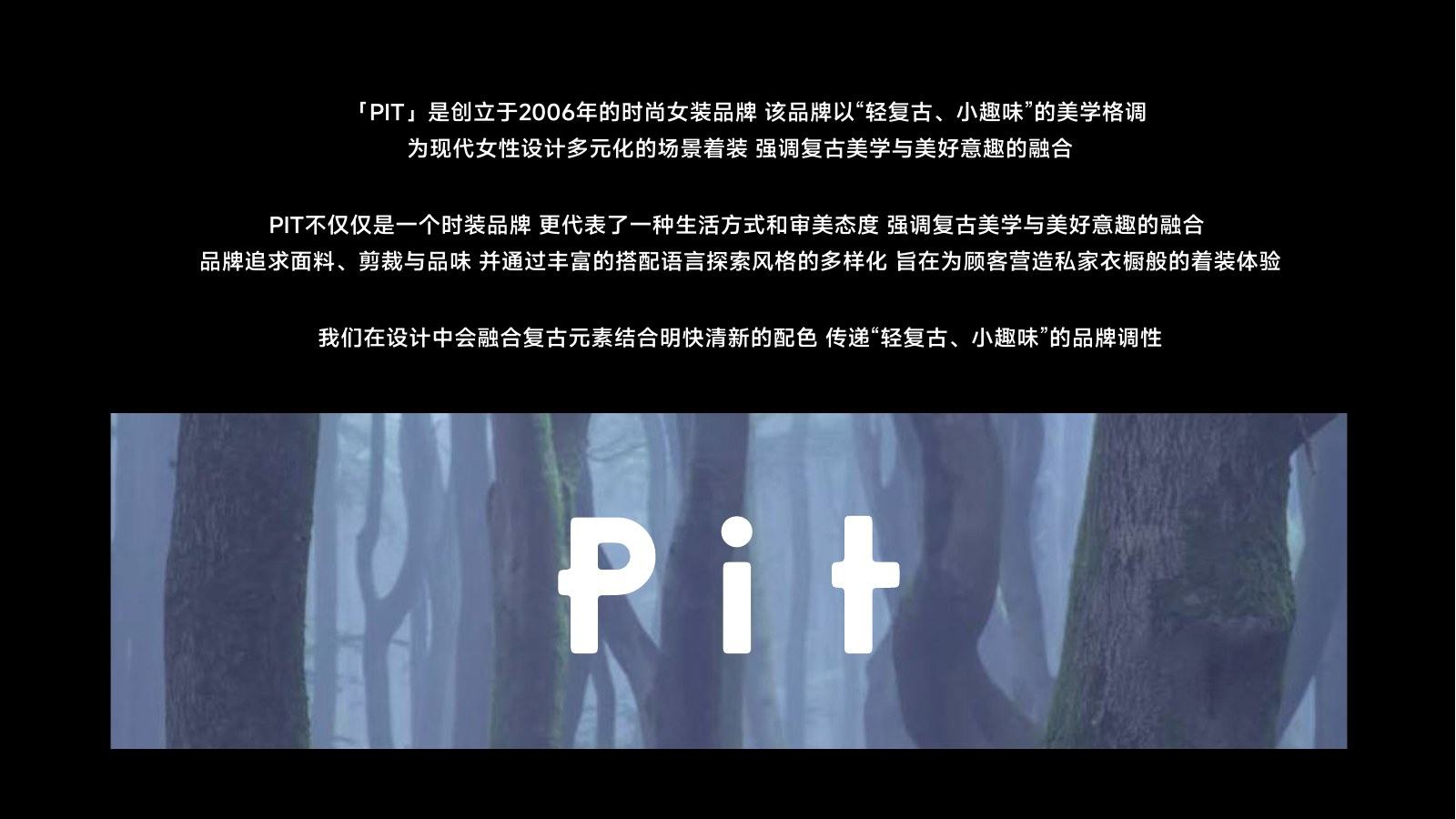 PIT 项目主题定义完整页面