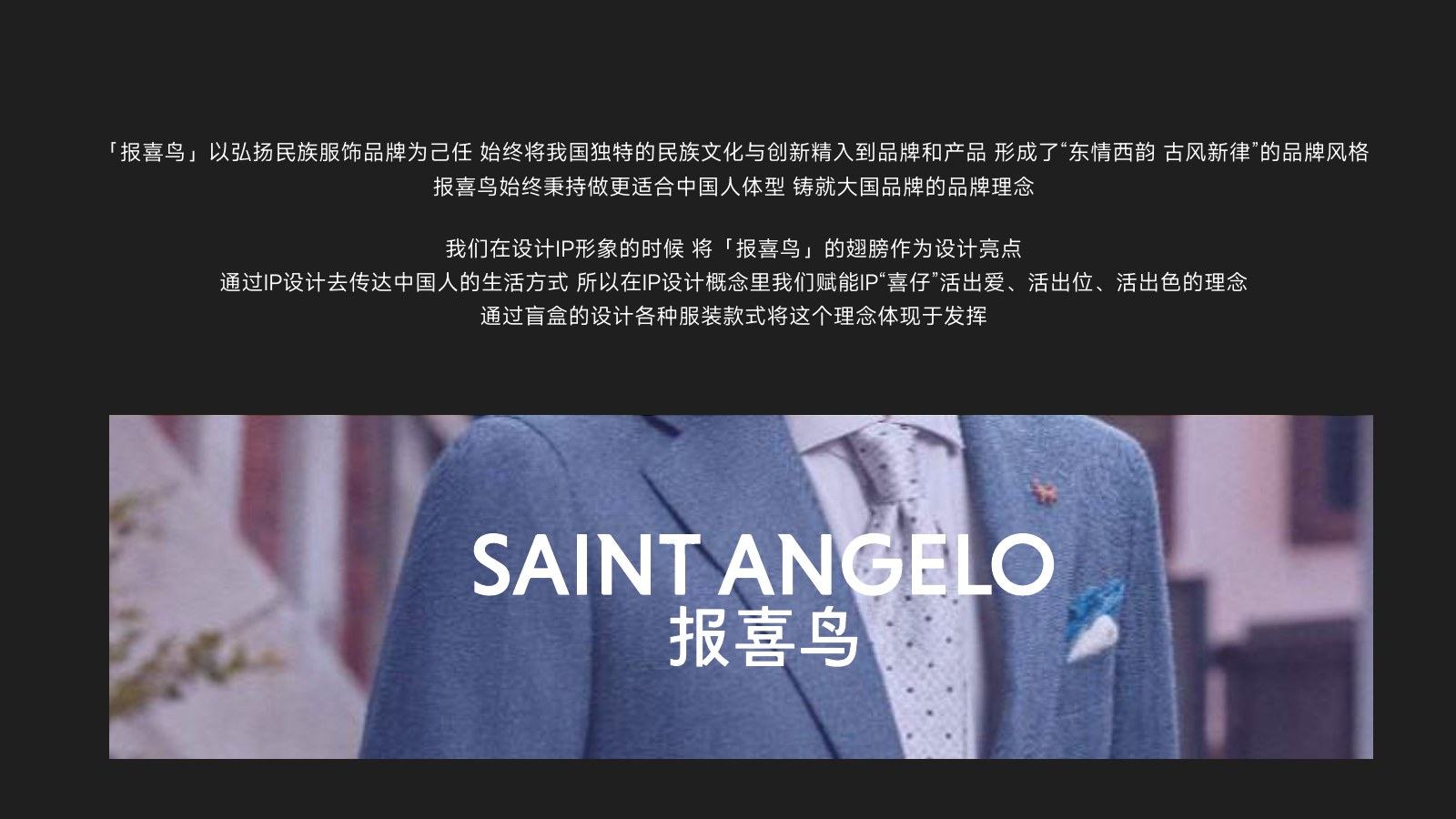 报喜鸟项目品牌定义完整页面