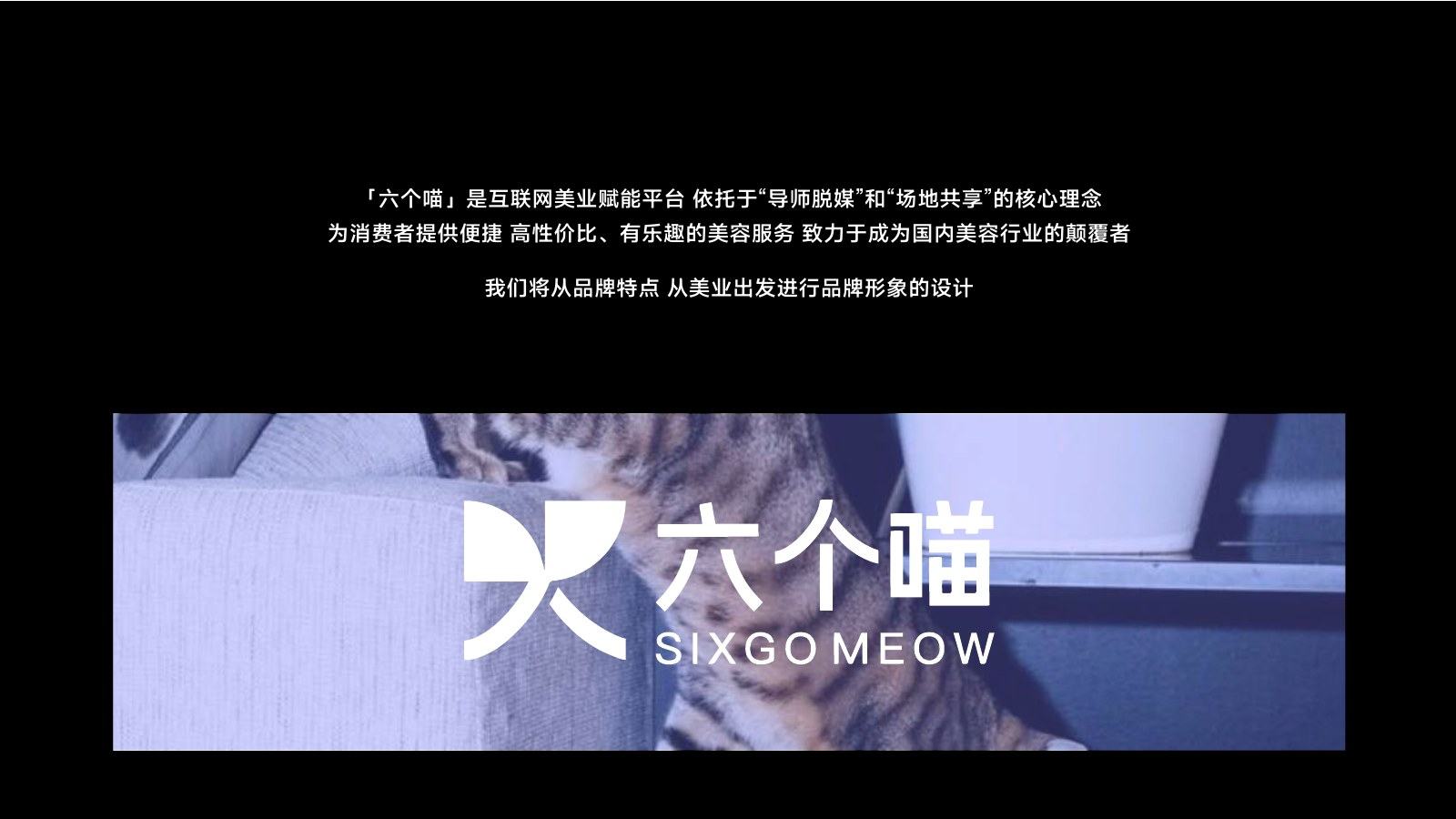 六个喵项目品牌定义完整页面